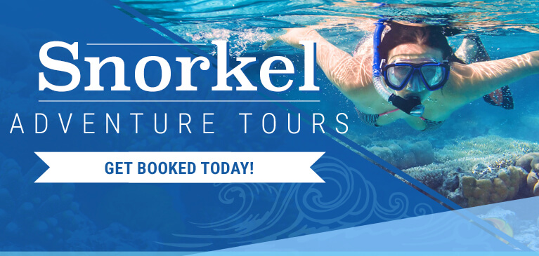 Turks and Caicos Snorkeling Tours