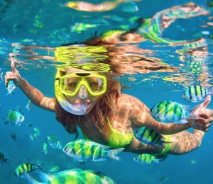 Turks and Caicos Snorkeling